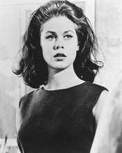 This is an image of 175773 Elizabeth Montgomery Photograph & Poster
