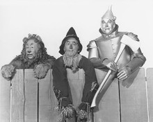 This is an image of 176329 The Wizard of Oz Photograph & Poster