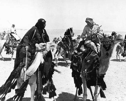This is an image of 176441 Lawrence of Arabia Photograph & Poster
