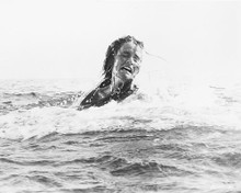 This is an image of 177455 Jaws Photograph & Poster