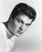 This is an image of 178204 Tony Curtis Photograph & Poster