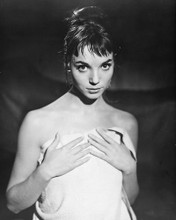This is an image of 178295 Elsa Martinelli Photograph & Poster