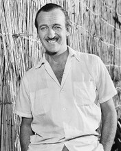 This is an image of 178319 David Niven Photograph & Poster