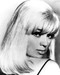 This is an image of 178409 Diana Dors Photograph & Poster