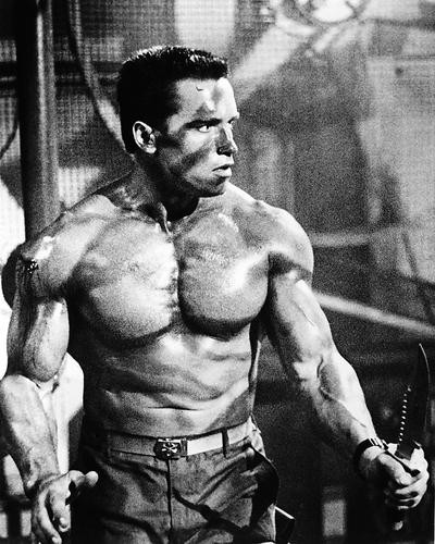 This is an image of 178726 Arnold Schwarzenegger Photograph & Poster
