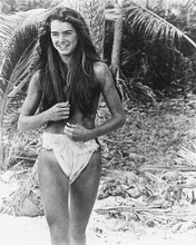 This is an image of 178739 Brooke Shields Photograph & Poster