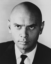 This is an image of 178892 Yul Brynner Photograph & Poster