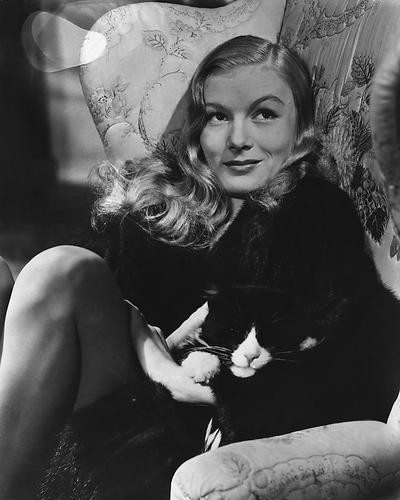 This is an image of 178951 Veronica Lake Photograph & Poster