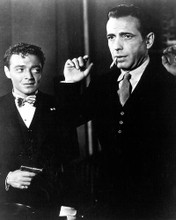 This is an image of 179278 The Maltese Falcon Photograph & Poster