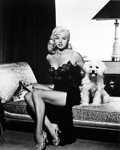 This is an image of 179521 Diana Dors Photograph & Poster