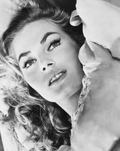 This is an image of 179531 Anita Ekberg Photograph & Poster