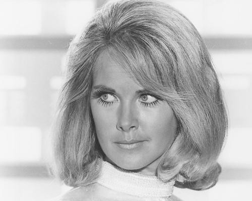 This is an image of 180311 Wanda Ventham Photograph & Poster