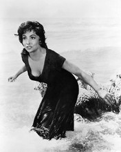 This is an image of 186605 Gina Lollobrigida Photograph & Poster