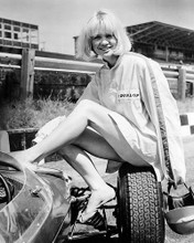 This is an image of Photograph & Poster of Judy Geeson 195146
