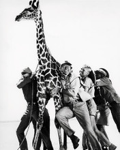 This is an image of 198720 Hatari Photograph & Poster