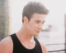 This is an image of 227986 Freddie Prinze Jr Photograph & Poster