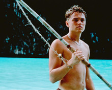 This is an image of 237539 Leonardo Dicaprio Photograph & Poster