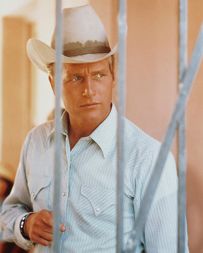 This is an image of 238503 Paul Newman Photograph & Poster