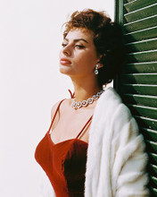 This is an image of 243411 Sophia Loren Photograph & Poster