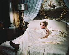 This is an image of 243544 Daniela Bianchi Photograph & Poster