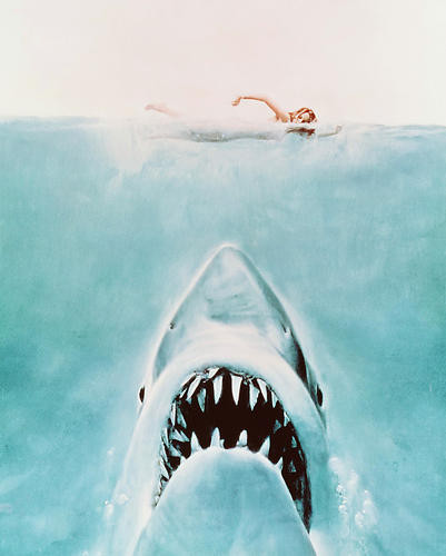 Movie Market Photograph Poster Of Jaws Movie Market Photograph Poster Of Jaws
