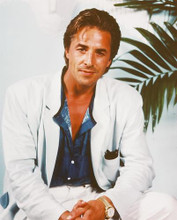 This is an image of 245579 Don Johnson Photograph & Poster
