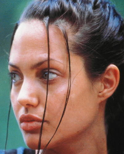 This is an image of 248200 Angelina Jolie Photograph & Poster