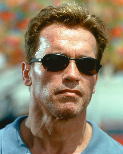 This is an image of 248319 Arnold Schwarzenegger Photograph & Poster