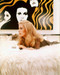 This is an image of 248974 Catherine Deneuve Photograph & Poster