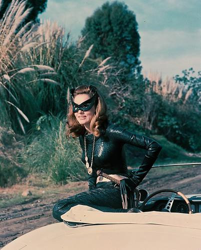 This is an image of 249916 Julie Newmar Photograph & Poster