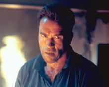 This is an image of 250862 Arnold Schwarzenegger Photograph & Poster