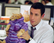This is an image of 255110 Adam Sandler Photograph & Poster
