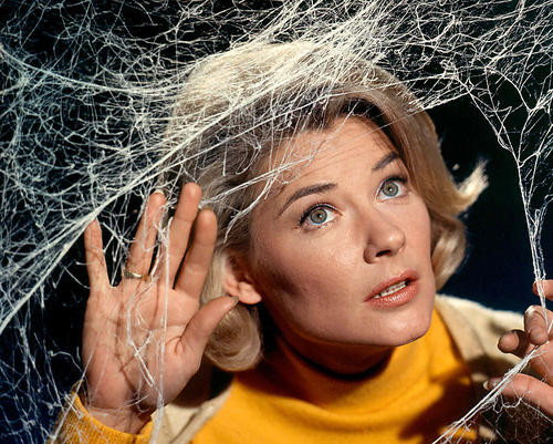 This is an image of 255728 Hope Lange Photograph & Poster