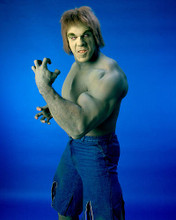 This is an image of 256429 Lou Ferrigno Photograph & Poster