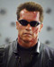 This is an image of 256557 Arnold Schwarzenegger Photograph & Poster