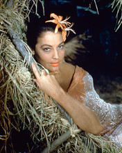 This is an image of 258539 Ava Gardner Photograph & Poster