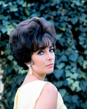This is an image of 258745 Elizabeth Taylor Photograph & Poster