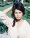 This is an image of 261268 Sophia Loren Photograph & Poster