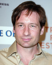 This is an image of 262167 David Duchovny Photograph & Poster