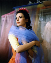 This is an image of 263726 Natalie Wood Photograph & Poster