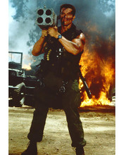 This is an image of 264130 Arnold Schwarzenegger Photograph & Poster