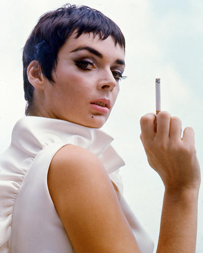 This is an image of 264883 Barbara Steele Photograph & Poster