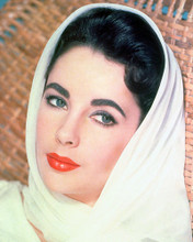 This is an image of 264886 Elizabeth Taylor Photograph & Poster
