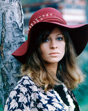 This is an image of 265475 Julie Christie Photograph & Poster