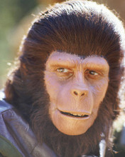 This is an image of 266136 Planet of the Apes Photograph & Poster