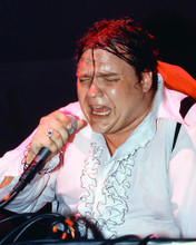 This is an image of 266424 Meat Loaf Photograph & Poster