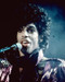 This is an image of 266493 Prince Photograph & Poster