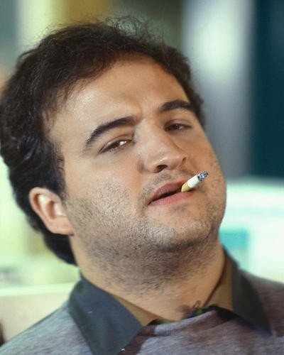 This is an image of 266789 John Belushi Photograph & Poster