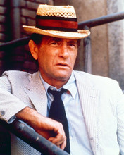 This is an image of 267012 Darren McGavin Photograph & Poster