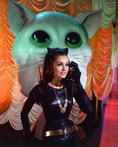This is an image of 267035 Julie Newmar Photograph & Poster